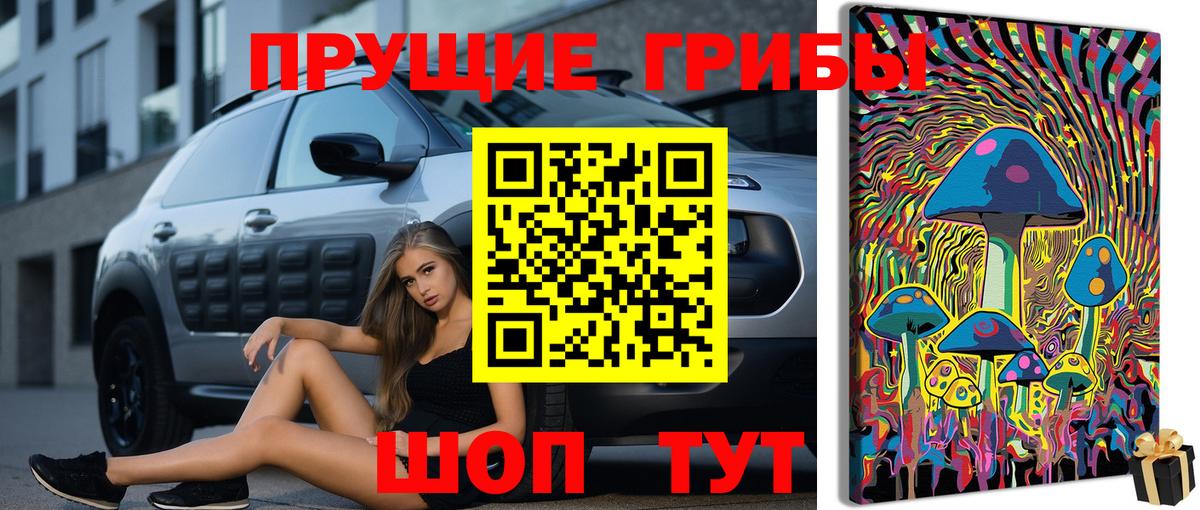 Галлюциногенные грибы Cubensis Карачаевск
