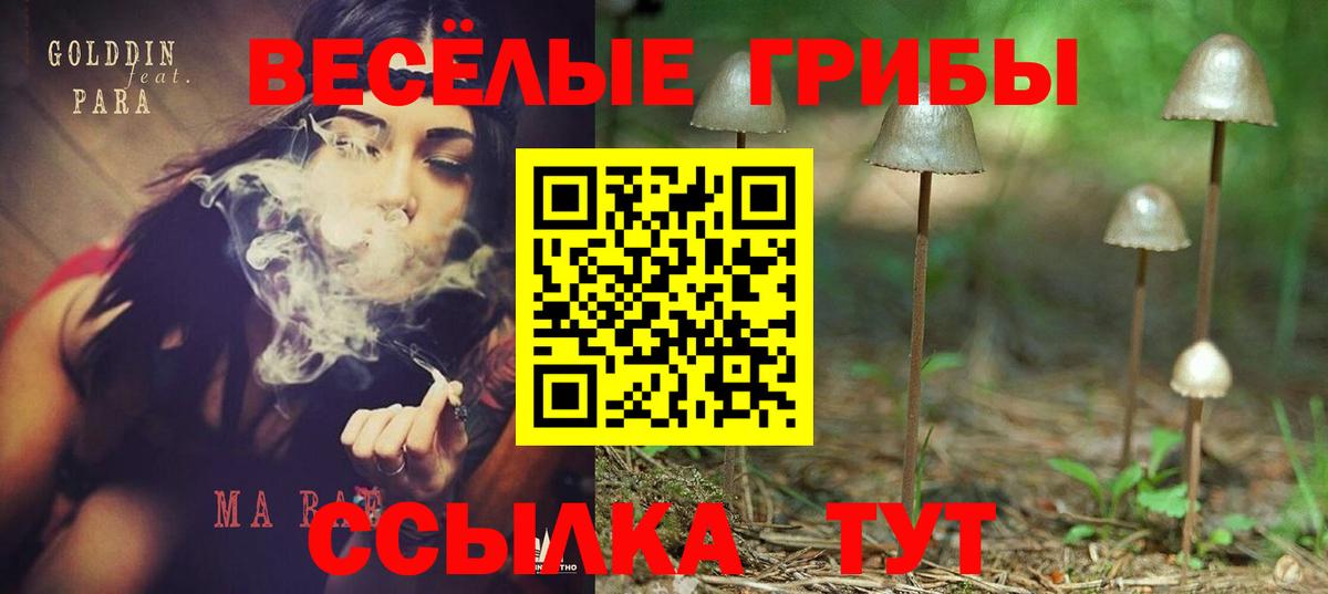 Карачаевск  Псилоцибиновые грибы Cubensis  Вход с VPN  Галлюциногенные грибы Cubensis 